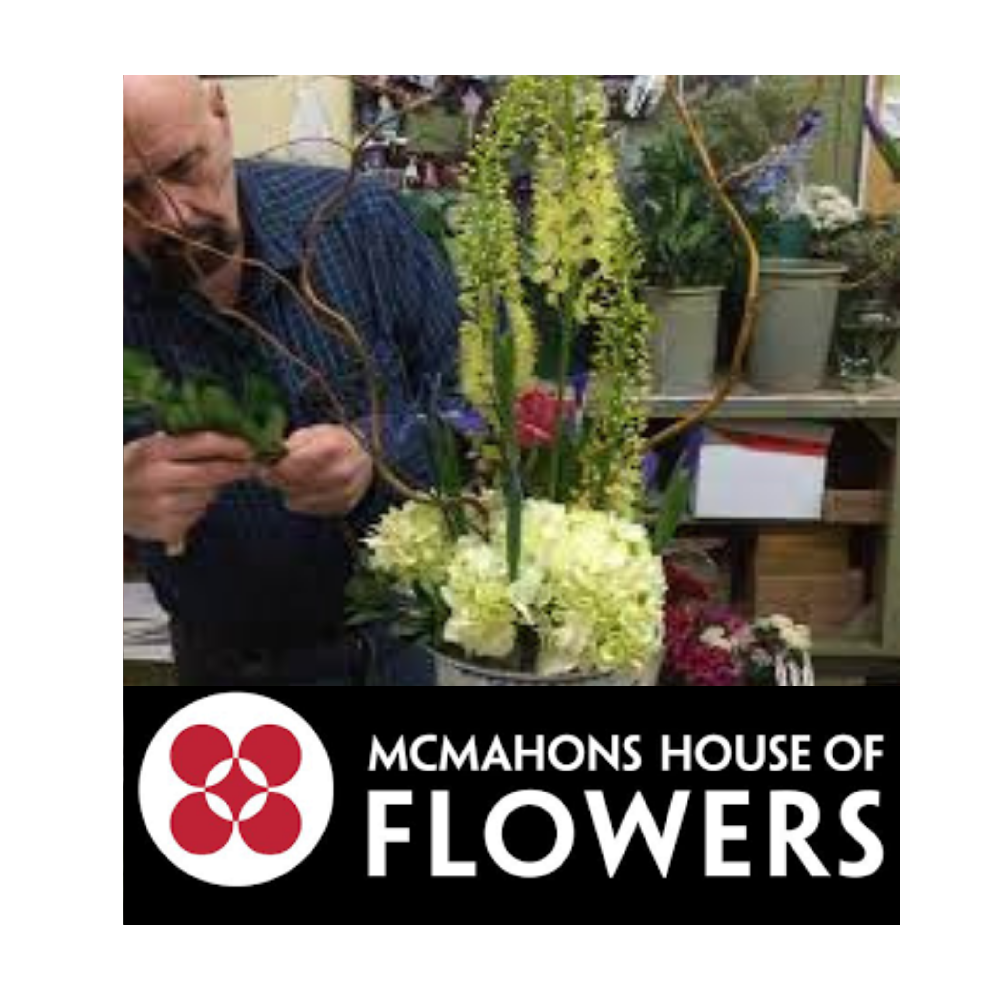 Mc Mahons House of Flowers